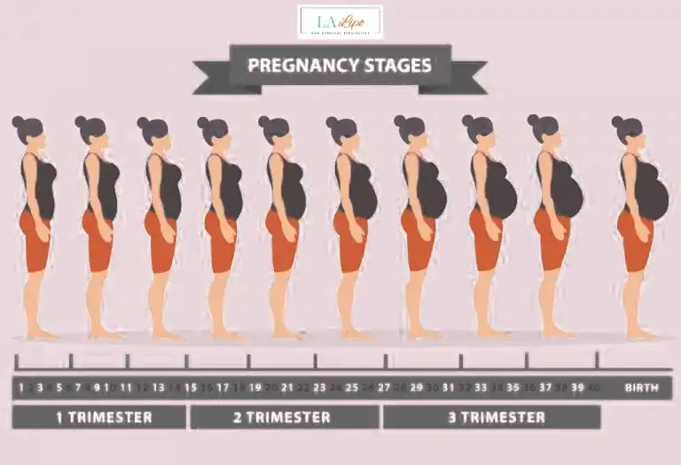 First Trimester (Weeks 1–12): Early Changes You Might Not Notice South Kensington